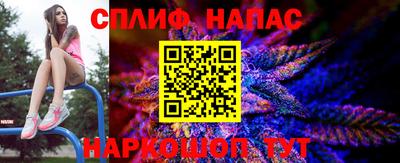 индика Канаш