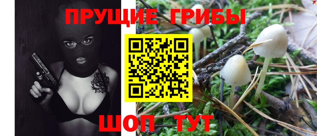 Дзержинск  Галлюциногенные грибы Psilocybe  Вход с VPN  Псилоцибиновые грибы мухоморы 