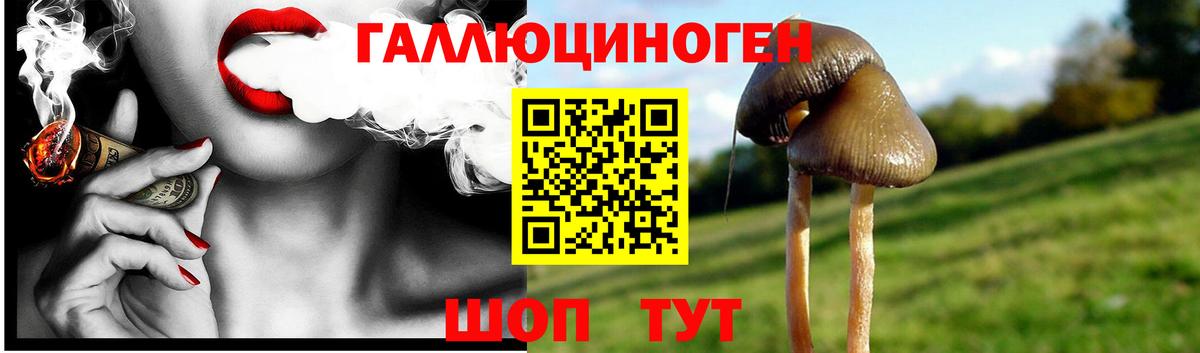 Псилоцибиновые грибы мицелий Дзержинск